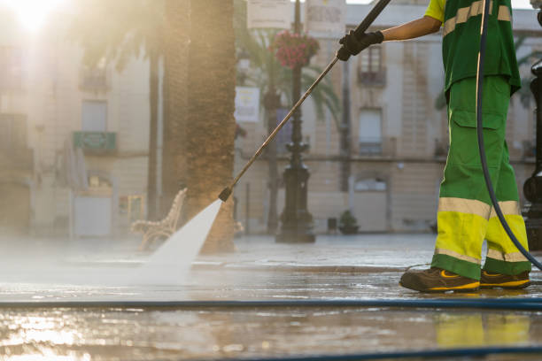 Best Gutter Cleaning  in Cedarville, OH